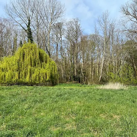 Dans Le Parc * Rosel