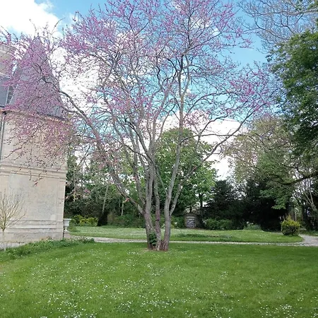 Dans Le Parc Διαμέρισμα